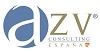 AZV CONSULTING SPAIN