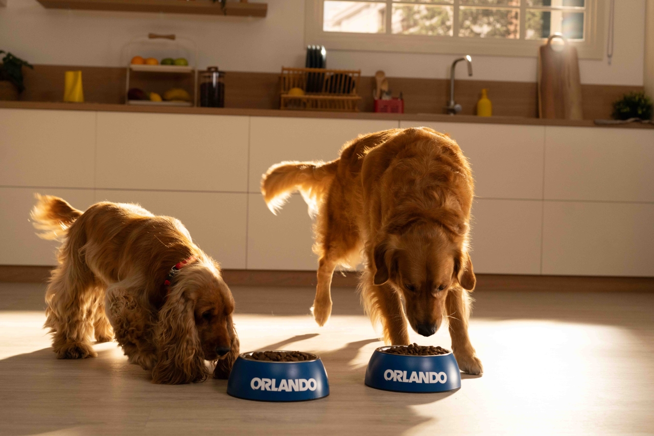  Lidl y Cayetana Guillén-Cuervo te invitan a conocer la innovadora y reformulada gama de alimentación para mascotas de la marca,  desarrollada por vet